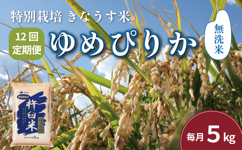 【無洗米12ヶ月定期便】特別栽培「きなうす米」北海道産ゆめぴりか5kg×12回