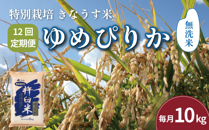 【無洗米12ヶ月定期便】特別栽培「きなうす米」北海道産ゆめぴりか10kg×12回