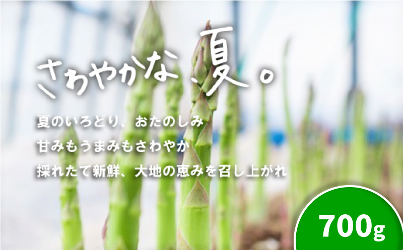 【先行予約】北海道産「夏採れ！北海道アスパラガス」700ｇ