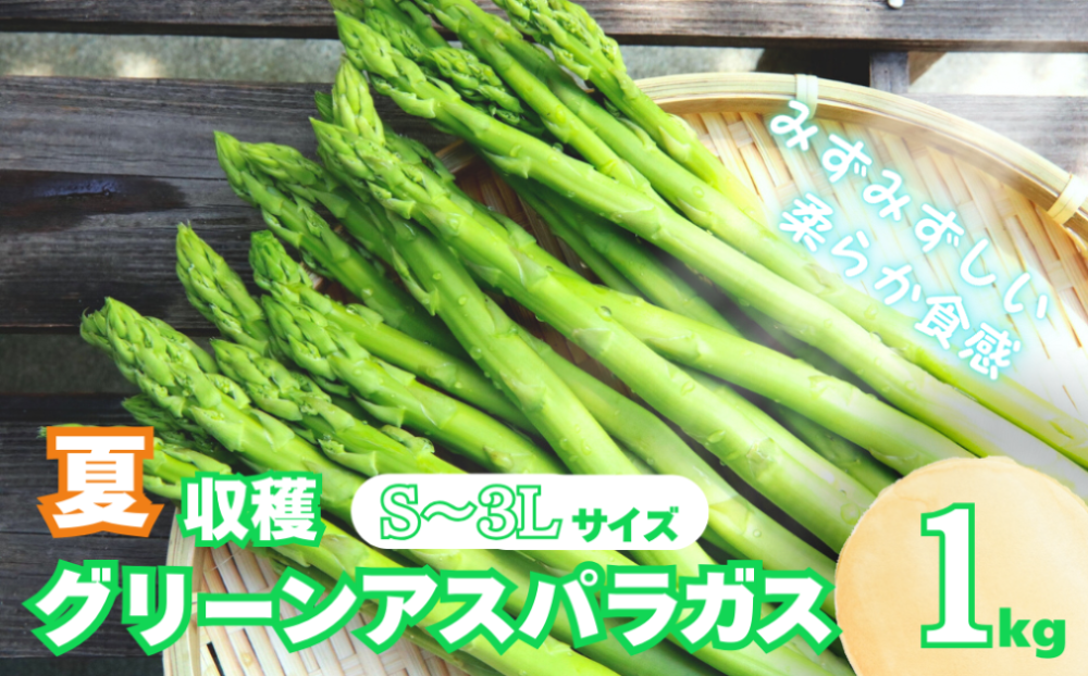 【先行予約】北海道産 夏採り！JAそらち南 夏の味覚「グリーンアスパラガス」S～3L 1kg前後