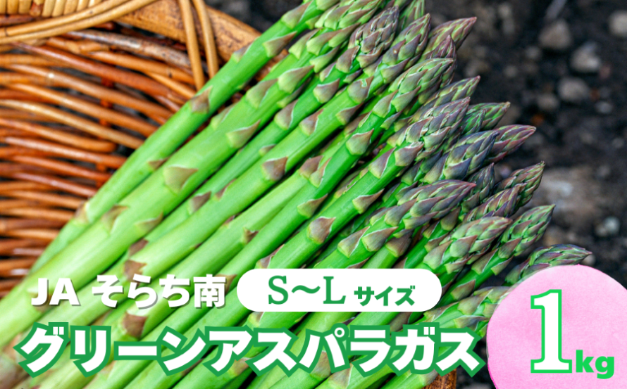 【先行予約】春一番！JAそらち南の味覚「グリーンアスパラガス」S～L 1kg前後