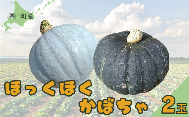 【先行予約】北海道栗山町産 ほっくほくかぼちゃ 2玉