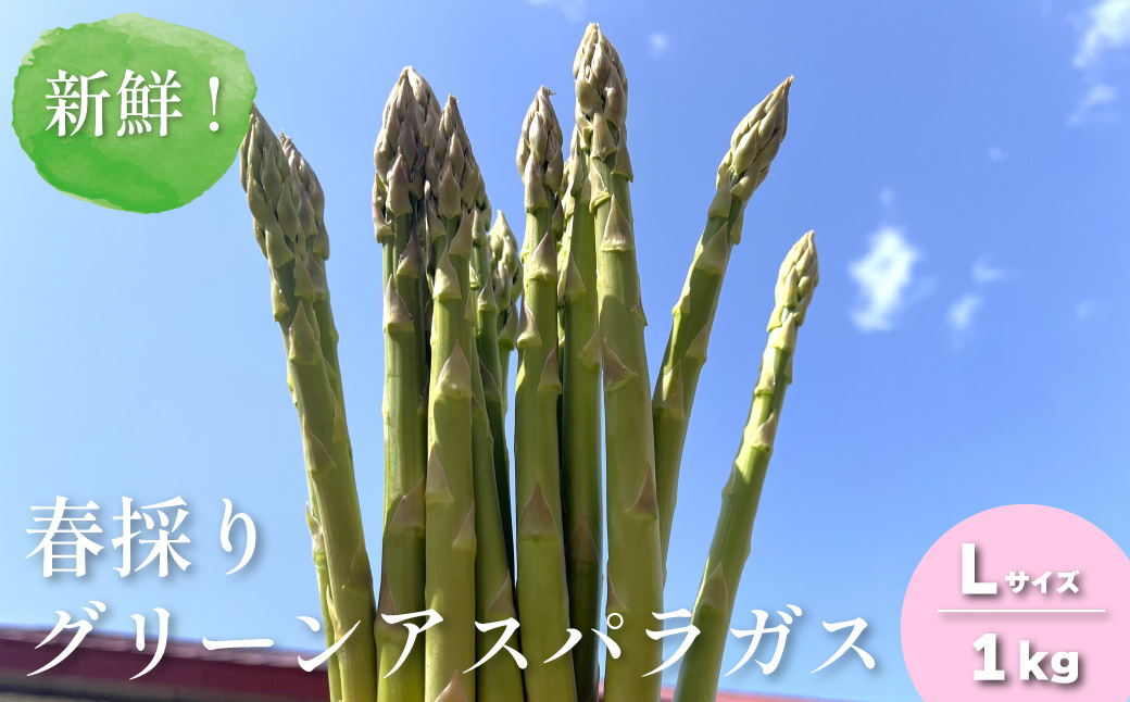 【先行予約】新鮮！春採り グリーンアスパラガスLサイズ1kg 東山農場