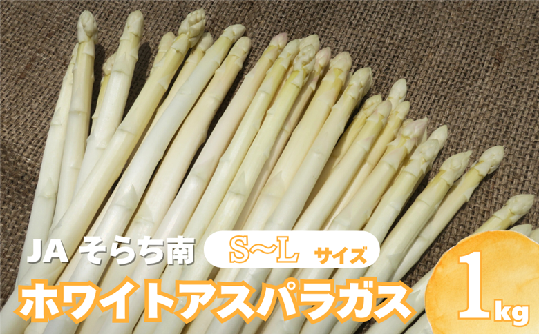 【先行予約】JAそらち南の味覚「ホワイトアスパラガス」S～L　1kg前後