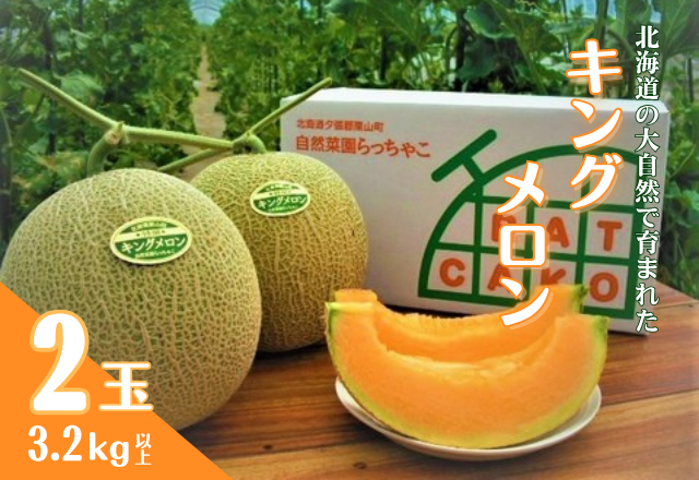 【先行予約・数量限定】北海道の森が育てた奇跡のキングメロン 2玉