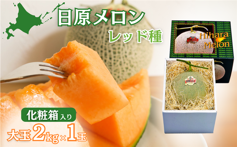 【先行予約】大玉「日原メロン（レッド種）」（ 2.0kg相当×1玉 北海道産）カラー化粧箱入り
