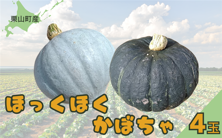 【先行予約】北海道栗山町産 ほっくほくかぼちゃ 4玉