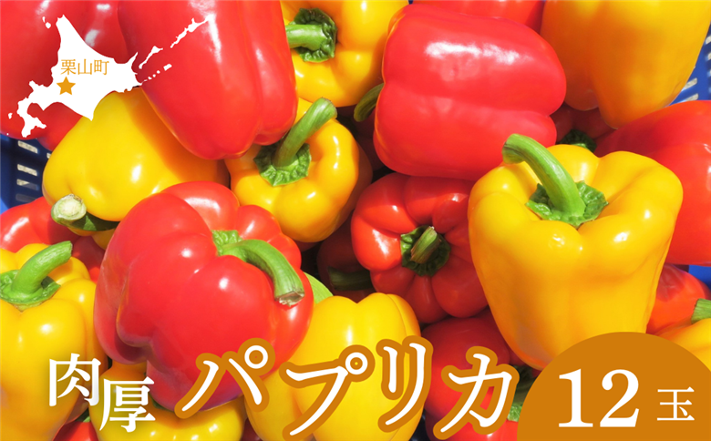 【先行予約】北海道栗山町産 土で育てた匠のパプリカ 12玉