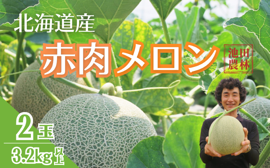 【先行予約】北海道栗山町産 幻のメロン 2玉