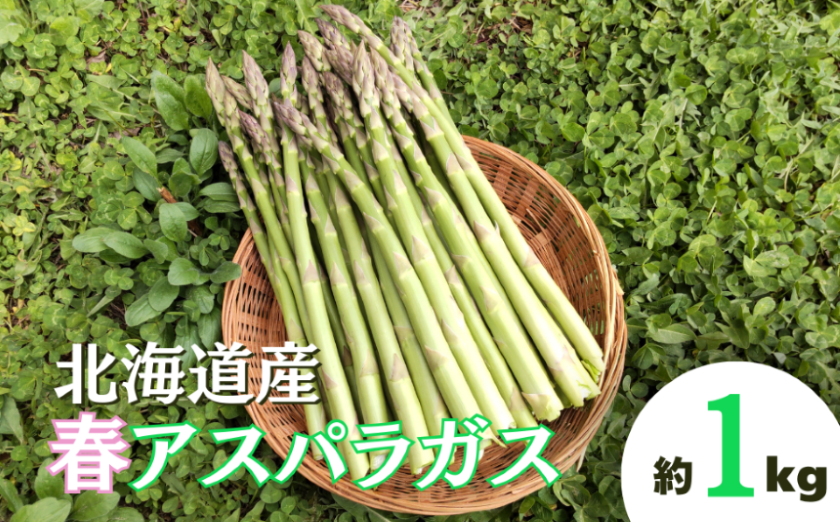【先行予約】北海道栗山町産 春アスパラ 1kg程度 池田農林