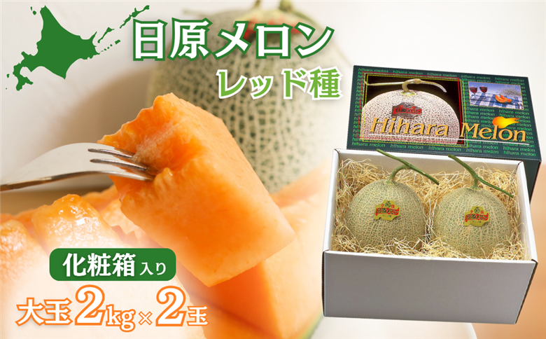 【先行予約】大玉「日原メロン（レッド種）」（2.0kg相当×2玉）カラー化粧箱入り