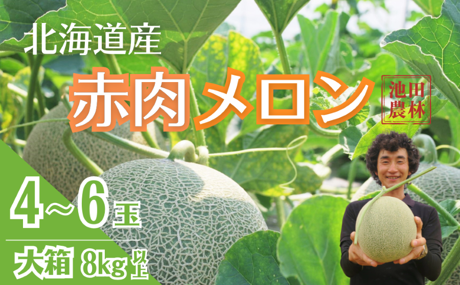 【先行予約】北海道栗山町産 幻のメロン 大箱（4～6玉 計8kg程度）