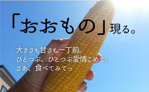 北海道栗山町産 スイートコーンその名は「おおもの」5本