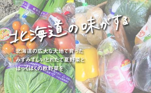 直売所直送「夏・秋野菜定期便」4回