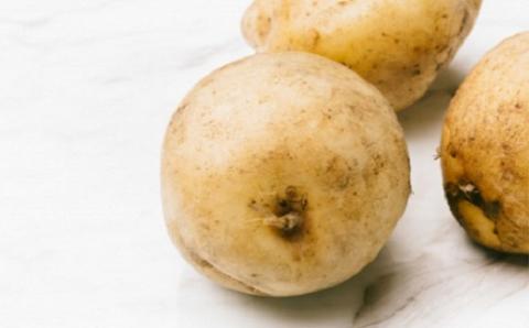 北海道栗山町産「じゃが玉定期便」7kg×4回