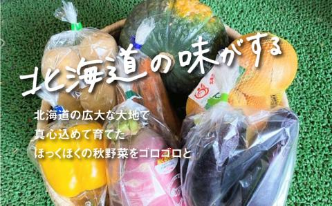 大地の恵み 「秋の味覚！味わいセット」