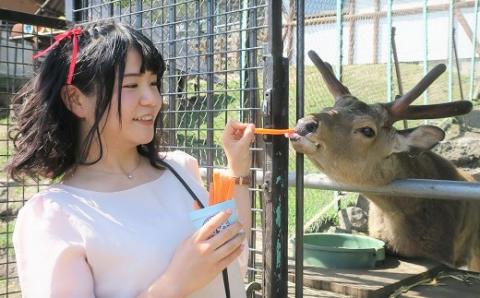 栗山公園「なかよし動物園」パクパクタイム回数券（6回分）2枚セット