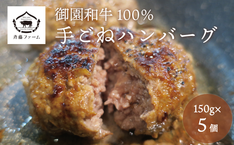 国産 御園和牛100％ 手ごねハンバーグ150g×5個
