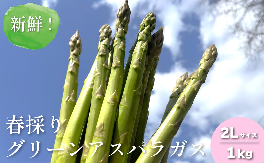 【先行予約】新鮮！春採り グリーンアスパラガス2Lサイズ1kg 東山農場