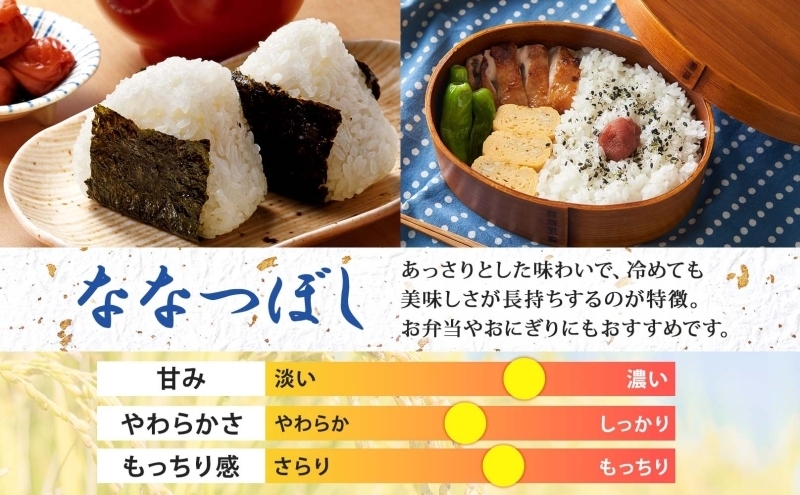 【令和8年産先行予約】北海道 定期便 隔月5回 令和8年産 ななつぼし 5kg×2袋 特A 精米 米 白米 ご飯 お米 ごはん 国産 北海道産 ブランド米 おにぎり ふっくら 常温 お取り寄せ 産地直送 R8年産 送料無料