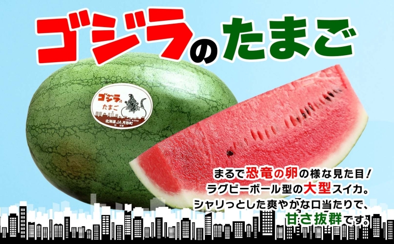 北海道 大玉 スイカ ゴジラのたまご 1玉 約8kg 2026年7月初旬より順次出荷 すいか 西瓜 果物 フルーツ 旬 希少 貴重 甘い ユニーク 国産 産地直送 ギフト お祝い 贈答品 贈り物 お取り寄せ エーコープつきがた