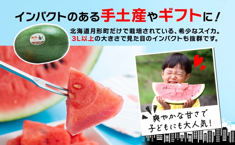 北海道 大玉 スイカ ゴジラのたまご 1玉 約8kg 2026年7月初旬より順次出荷 すいか 西瓜 果物 フルーツ 旬 希少 貴重 甘い ユニーク 国産 産地直送 ギフト お祝い 贈答品 贈り物 お取り寄せ エーコープつきがた