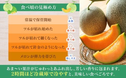 【2026年夏発送】北海道 赤肉メロン 北の女王 秀品 約1.6kg×3玉 計約4kg以上 令和8年 メロン 果物 フルーツ 旬 季節 希少 貴重 甘い 豊潤 国産 デザート 産地直送 ギフト お祝い 贈答品 贈り物 常温 お取寄 送料無料 果物類