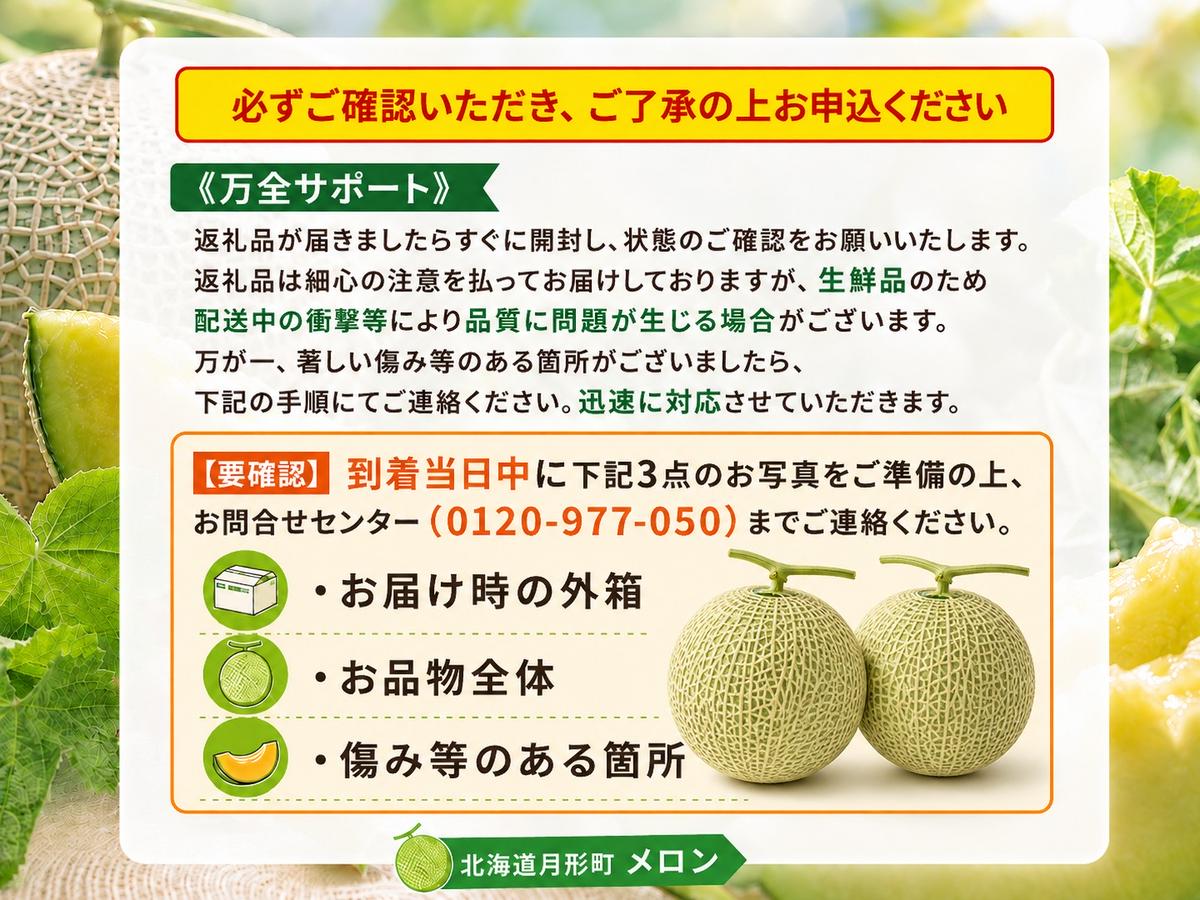 【2026年夏発送】北海道 青肉メロン 月雫 秀品 2玉 約1.6kg 計
