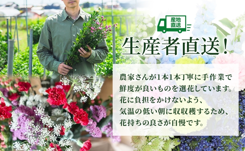 ＜2026年6月～8月まで3ヵ月連続お届け＞ 北海道 花 詰め合わ