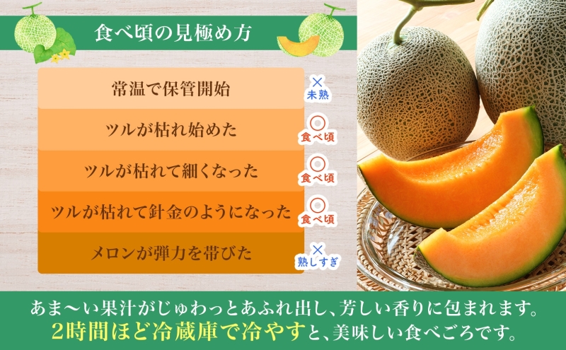 【2026年夏発送】北海道 赤肉メロン 北の女王 秀品 約1.6kg×2玉 計約3.2kg 令和8年 メロン 果物 フルーツ 旬 季節 希少 貴重 甘い 豊潤 国産 デザート ご褒美 産地直送 ギフト お祝い 贈答品 贈り物 常温 お取寄 送料無料