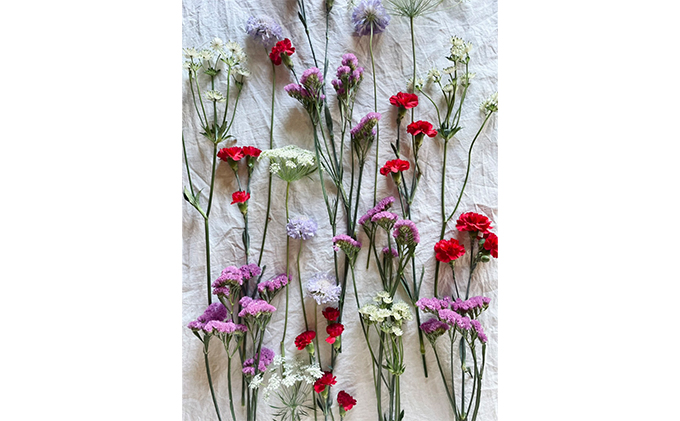 [2022年9月～11月まで3ヶ月連続お届け]生産者直送！旬の花詰め合わせ〔5品種20本以上保証〕