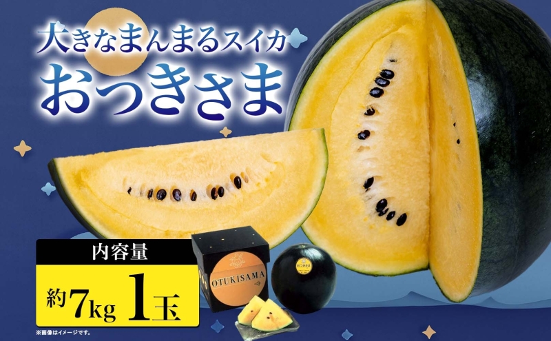 北海道 黄色 大玉 スイカ おつきさま 1玉 約7kg 2026年7月初旬より順次出荷 すいか 西瓜 黒皮 黒スイカ 黄 果物 フルーツ 旬 希少 貴重 甘い 国産 産地直送 ギフト 贈答品 お中元 お取り寄せ エーコープつきがた