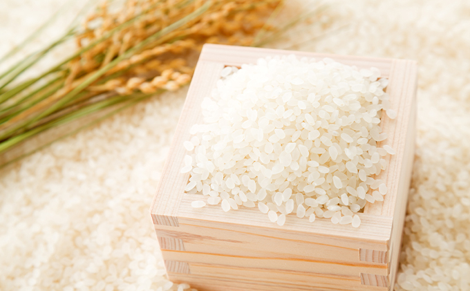 北海道月形産ななつぼし5kg+月形町産完熟トマト「桃太郎」使用『月形まんまるトマト』8本 2ヵ月連続 定期便 お米 果汁飲料 野菜飲料 トマトジュース