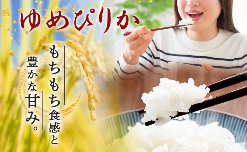 【令和8年産先行予約】北海道 定期便 8ヵ月連続8回 令和8年