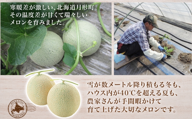 【2026年夏発送】北海道 赤肉メロン 北の女王 優品 4～6玉 計約8kg 令和8年 メロン 果物 フルーツ 旬 季節 希少 甘い 豊潤 国産 北海道産 デザート ご褒美 産地直送 産直 ギフト お祝い 贈答品 贈り物 お中元 人気 送料無料