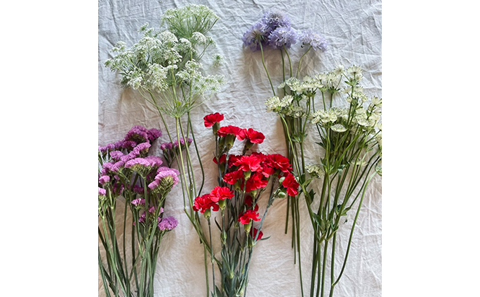 ［2022年10月お届け］生産者直送！旬の花詰め合わせ〔5品種20本以上保証〕