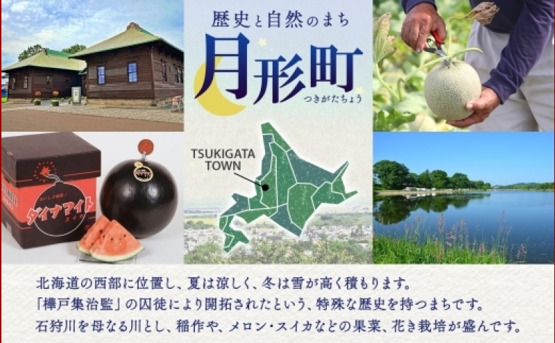 北海道 令和6年産 ななつぼし 5kg×4袋 計20kg 特A 精米 米 白米 ご飯 お米 ごはん 国産 ブランド米 おにぎり ふっくら 常温 お取り寄せ  産地直送 送料無料: 月形町ANAのふるさと納税