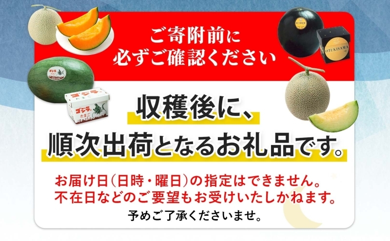 【2026年夏発送】北海道 青肉メロン 月雫 秀品 2玉 約1.6kg 計約3.2kg以上 令和8年 メロン 果物 フルーツ 旬 季節 希少 甘い 豊潤 国産 北海道産 デザート ご褒美 産地直送 ギフト お祝い 贈答品 贈り物 お取寄 送料無料