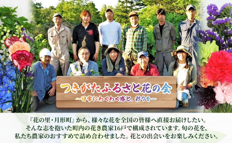＜2026年7月～11月まで5ヵ月連続お届け＞北海道 花 詰め合わせ 4品種 20本以上 切り花 切花 花束 ブーケ 季節 旬 生花 フラワー アレンジメント 記念日 産地直送