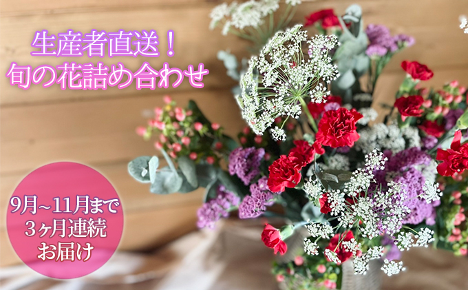 [2022年9月～11月まで3ヶ月連続お届け]生産者直送！旬の花詰め合わせ〔5品種20本以上保証〕