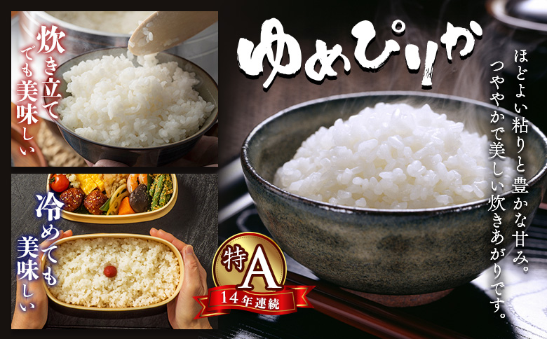 【令和7年度産】ゆめぴりか・ななつぼし精米「特A」セット（各5kg）【1101907】