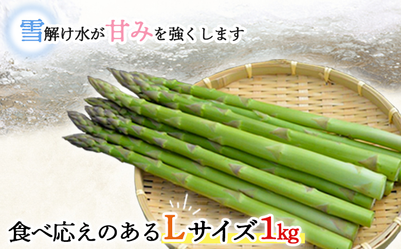 【先行受付】グリーンアスパラ（Lサイズ1kg）【令和8年5月中旬～6月中旬発送】【1201502】