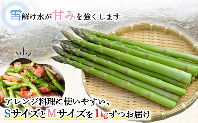 【先行受付】グリーンアスパラSMサイズ2kg（S・Mサイズ各1kg）【令和8年5月中旬～6月中旬発送】【1201602】
