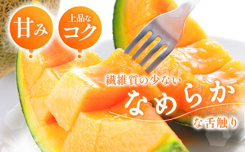 【先行予約】【数量限定】 赤肉メロン3玉【令和８年７月～８月上旬発送】【12032】