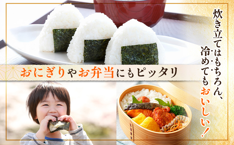 【令和7年度産】 食味ランキング「特A」ななつぼし精米定期便 (5kg×12回)【1100805】 定期便 (5kg×12回)