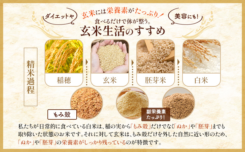 【令和7年度産】食味ランキング「特A」ななつぼし玄米定期便(15kg×6回)【隔月でお届け】【1101105】 隔月定期便(15kg×6回)