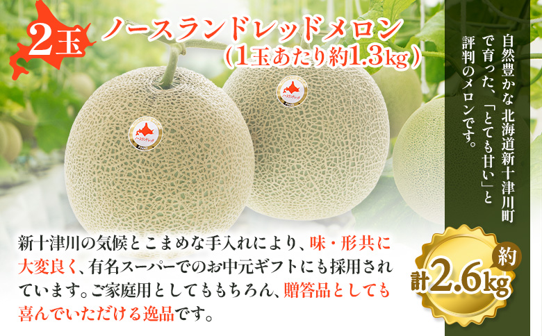 【数量限定】 赤肉メロン２玉・ミニメロンゼリーセット【令和8年７月～８月上旬発送】【1201706】