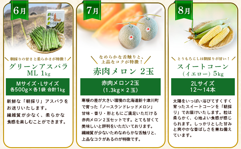 【新十津川町】夏の味覚定期便セット【1203001】