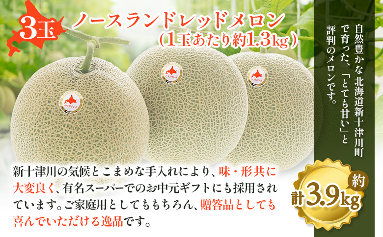 【先行予約】【数量限定】 赤肉メロン3玉【令和８年７月～８月上旬発送】【12032】