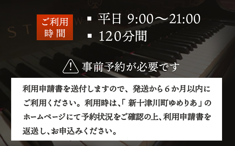 スタインウェイピアノ試弾券（120分）　※平日限定（午前９時～午後９時）【2100101】